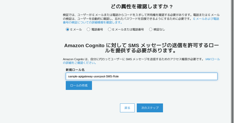 ../../../_images/management-console-cognito-create-userpool-7.png